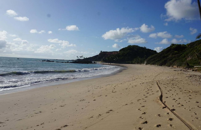 Carapibus, Tabatinga & Bela Beach Day Trip - Foto 4