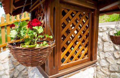 Vila Trnoružica - Foto 9