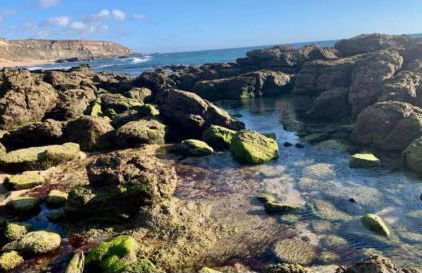 Casa do Portão Azul - Tamboril - Foto 39