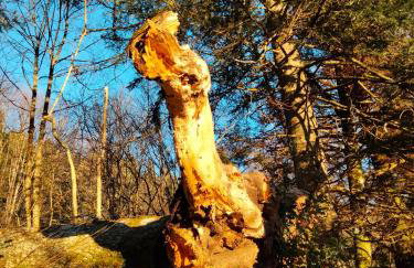 Gite le grenier du roc - Foto 30