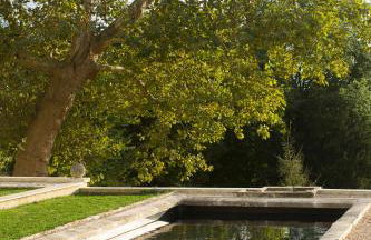 La Clairière de la reine Hortense - Pierres d'Histoire - Foto 10