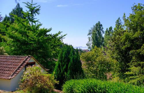 Valle Paraizo - Foto 80