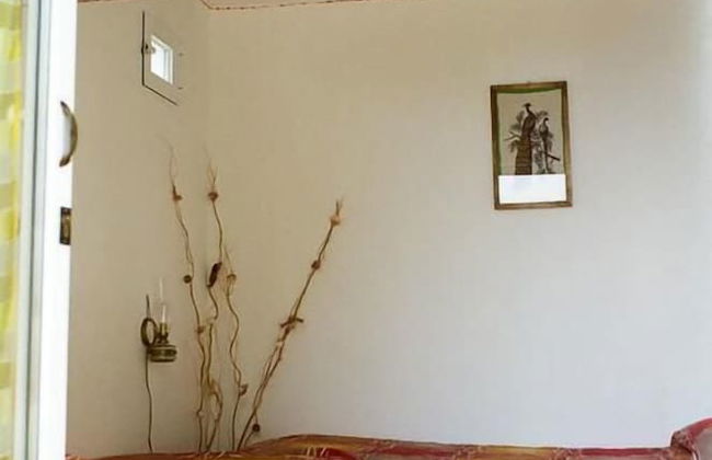 Agriturismo il Grande Ulivo - Foto 9