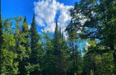 Barton City Lodge - Foto 32