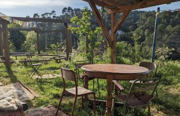 Cabayourte à la mauvaise herbe - Foto 30