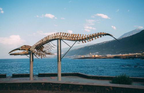 Hotel Rural La Casa Amarilla - Foto 51