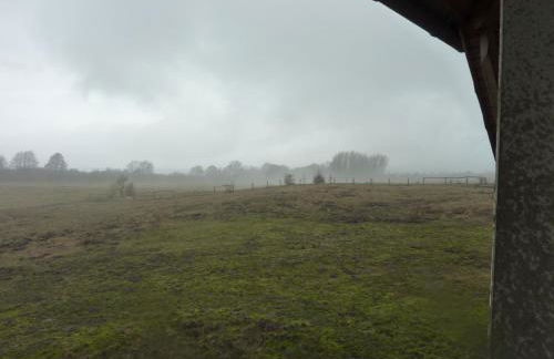 Landhaus Fischersruh Plauer See - Foto 12