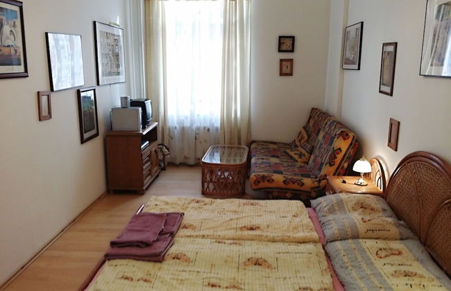 Holiday Apartments Karlovy Vary - Foto 16