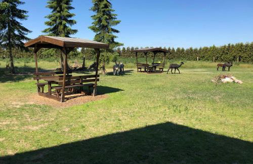 Ferienwohnung auf dem Alpaka-Hof - Foto 14