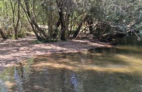 Donde JAVI Chalet con piscina 50 minutos madrid en escalona - Foto 61