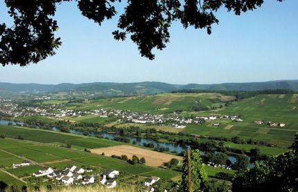 Weingut & Gästehaus Andreas Erz - Foto 27