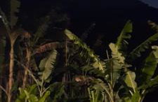 A Casinha Lumiar - Foto 63