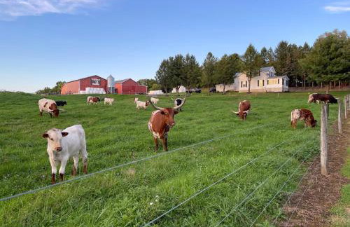 Charming Farmhouse Retreat - Foto 24