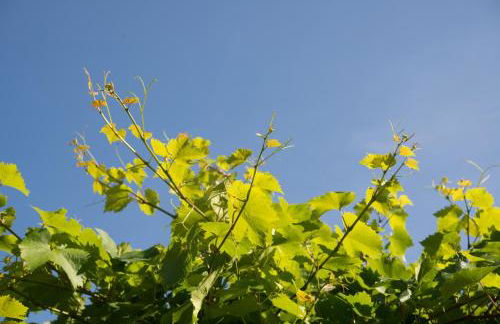 Alte Schule Ludwigsburg - Foto 17