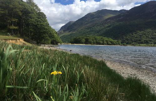 Robinsons Cottage, central and quiet - Foto 39