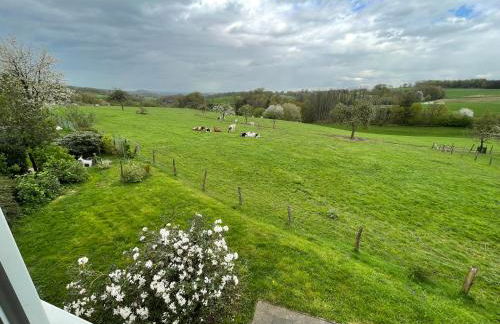 Fewo Landliebe - Foto 45