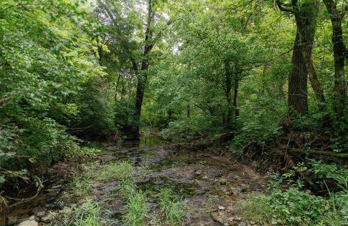 "Deer Creek Lodge" - Secluded Bourbon Trail Stay - Foto 43