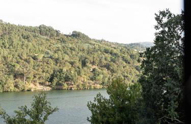 Quinta da Ribeirinha - Douro River - Foto 16
