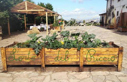 Agriturismo Il Riccio - Foto 11