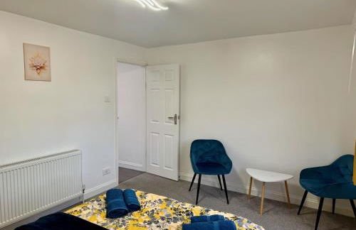 Modern Elegant Home - Photo 22