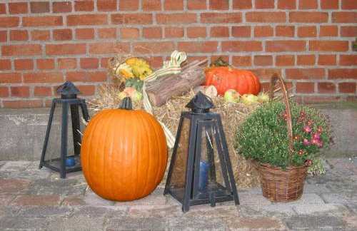 Ferienhof-Wohler-Wohnung-5 - Photo 33