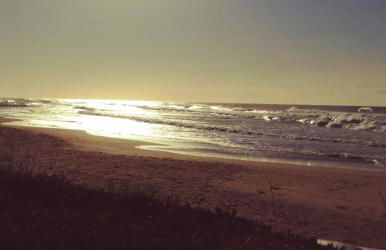 Colori a mare - Foto 65