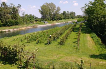 Agriturismo Cascina Poscallone - Photo 36