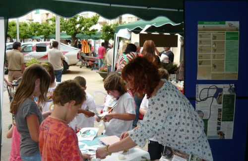 Casa De Vacances La Vella Era - Foto 27