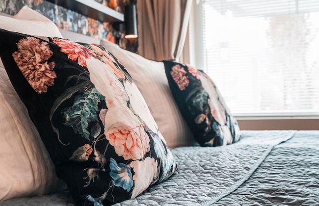 The Hogg House - Photo 4