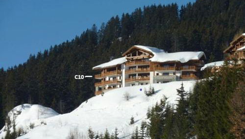 La Perle des Alpes C10 Apart.4* #Yolo Alp Home - Foto 4