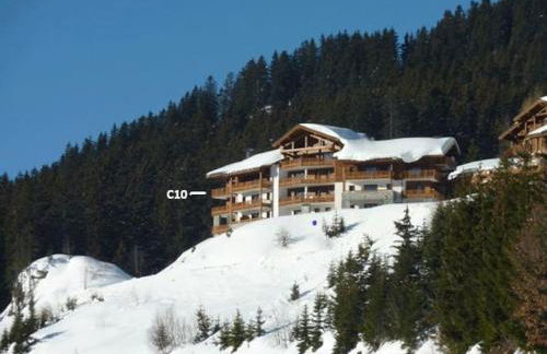 La Perle des Alpes C10 Apart.4* #Yolo Alp Home - Foto 4