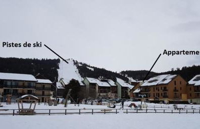 Apt confortable au pied des pistes et de la forêt - Foto 38