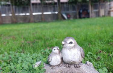 Chalet del Lago Laceno - Foto 54