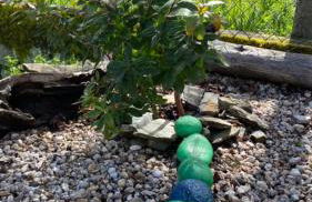 Refúgio dos Mauzinhos - Foto 19