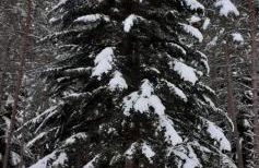 Casa Rural " El Retiro" - Photo 40