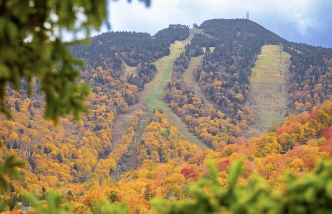 Forest Mountain Escape: Beautiful Mountaintop Escape In Mendon, Vt. 20 Min To Killington/14 To Pico. 4 Bedroom Home - Foto 17