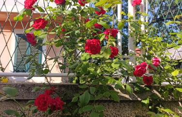 Apartment Marta - free parking! - Photo 43