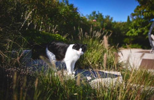 Borgo della Spiga - Adult Friendly Country House - Foto 31