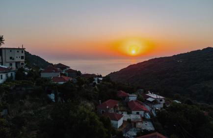 House of Gardenia - Foto 80