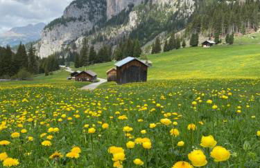 Cesa Bernard - Apartment Cima 12 e new Apartment Fraine - Foto 58