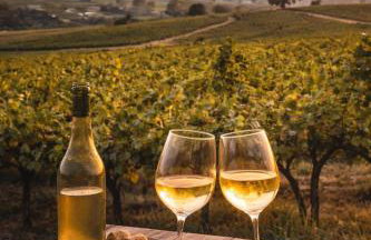 STUDIO COSY - HYPERCENTRE - CALME - 50M2 - Wi-FI - Photo 28