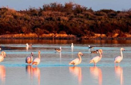 Casa Altaona - Foto 23