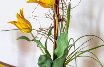 Ferienwohnungen Schoofs - Foto 41