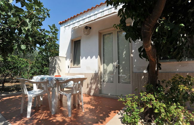 Case Vacanze L'Uliveto - Foto 50