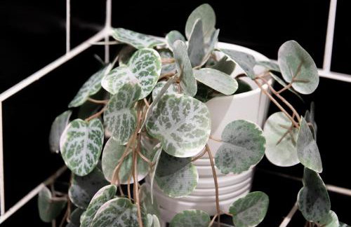 Urban One- Prime location - Foto 13