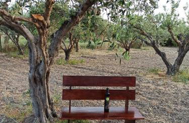 Kypseli studio rhodes - Photo 28