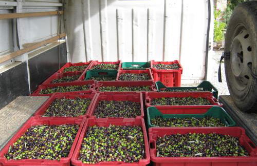 Sport Bikes and Nature - Foto 15