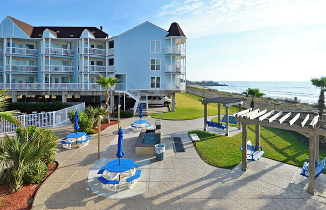 Seascape 1110 - Parrot Paradise - Foto 18