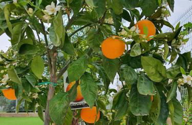 Quiet modern apartment with a large sunny garden! - Foto 18