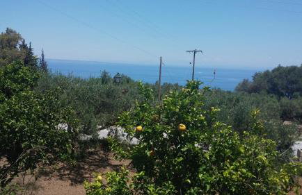 Belvedere Zakynthos Studios - Foto 46